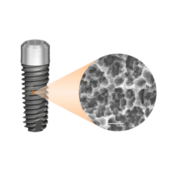 sandblasted-acid-etched-implant-surface.jpg